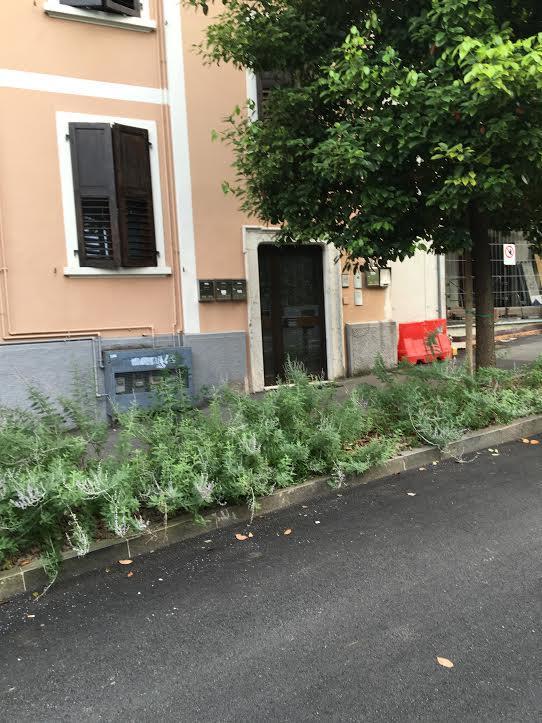 Appartamento I Sentieri 23 Riva del Garda Eksteriør bilde